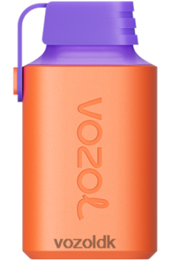 VOZOL DK - VOZOL GEAR 600 litchi guava vandmelon T0P4P4353