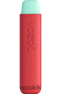 VOZOL DK - VOZOL STAR 550 æble fersken T0P4P4138