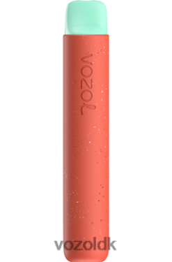 VOZOL DK - VOZOL STAR 600 litchi guava vandmelon T0P4P488