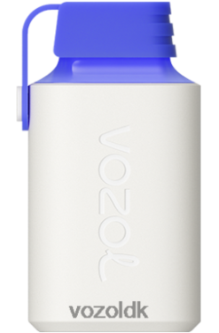 VOZOL Danmark - VOZOL GEAR 600 blå razz citron T0P4P4346