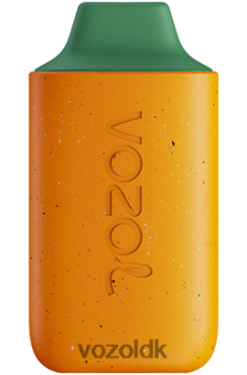 VOZOL Nikotin - VOZOL STAR 6000 kiwi guava passionsfrugt T0P4P4115