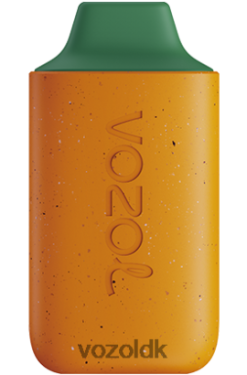 VOZOL Nikotin - VOZOL STAR 6000 mango fersken vandmelon T0P4P4120