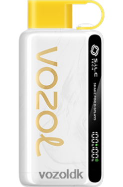 VOZOL Nikotin - VOZOL STAR 9000/12000 kiwi passionsfrugt guava T0P4P425