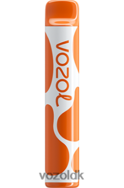 VOZOL Pris - VOZOL JOYGO 600 kaffe T0P4P4379