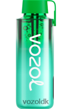 VOZOL Pris - VOZOL NEON 10.000 miami mynte T0P4P4229