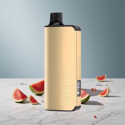 Alibarbar Ingot 9000 Puffs Vandmelon Is 22ml / 2350mAh